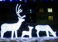 Мэрия Кызыла призывает горожан украсить город к Новому году