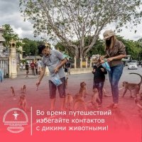 В Туве укушенные в Таиланде обезьяной двое детей получают терапию против бешенства