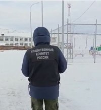 Бастрыкин поручил возбудить уголовное дело после нападения собаки на ребенка в Кызыле