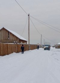 На Вавилинском затоне Кызыла провели отлов собак на свободном самовыгуле