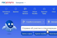 Справку об участии в СВО можно оформить на портале «Госуслуги»