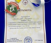 В Донецке в турнире по хурешу среди бойцов СВО сильнейшим стал бурятский борец