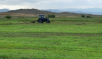 В Туве в предстоящую посевную основную часть займут кормовые культуры - 12, 2 тыс га