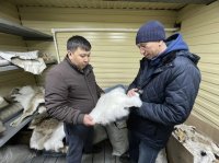 В отдаленном Монгун-Тайгинском кожууне Тувы возрождают технологию ремесленной переработки шкур