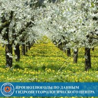 28 мая в Туве потеплеет до +30°С