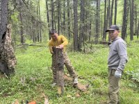 В Туве в рамках нацпроекта создают высокопродуктивные лесные насаждения
