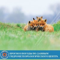 В Туве днем 1 июля сильная жара при температуре +35°С