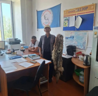 266 волков добыто охотниками Тувы с начала года