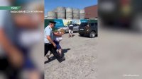 Владелицу минусинского приюта для собак Светлану Крохалёву в Туве задержала полиция