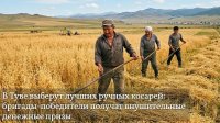В Туве выберут лучших ручных косарей