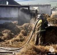 В Монгун-Тайгинском районе Тувы пожарные ликвидировали возгорание двух тонн сена после непотушенной спички