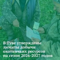 В Туве в период осеннего охотничьего сезона можно добыть 300 лосей