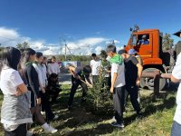 В Кызыле прошёл первый экологический фестиваль «Арыг Тывам»