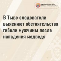 В Туве после гибели мужчины после нападения медведя возбуждено уголовное дело