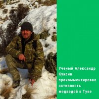 Из-за неурожая кедрового ореха в Туве ситуация с выходом медведей может продолжиться зимой и весной - эксперт Куксин