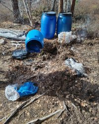 В Туве монахов таежного скита эвакуировали из-за угрозы нападения медведей