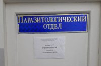 У добытого в Пий-Хемском районе Тувы медведя найден трихинеллёз